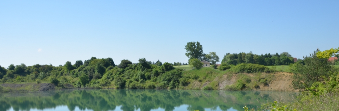 Header Foto Teich LEADERRegion Grünes Band im Landkreis Helmstedt