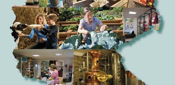 BAG LAG-Broschüre veröffentlicht