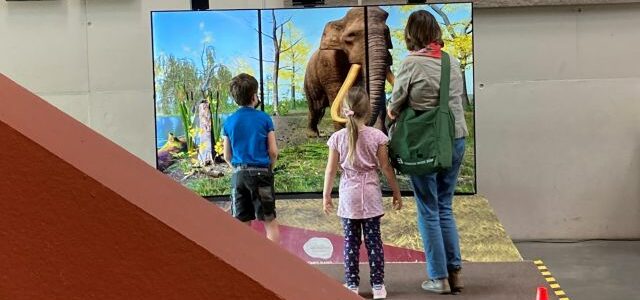 Gestaltung und Entwicklung einer VR Simulation eines Altelefanten für den Schöninger Eiszeitzoo