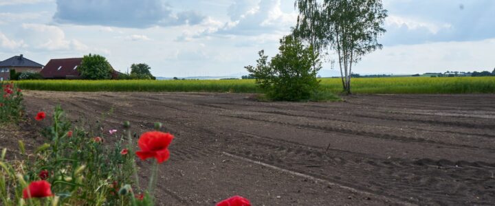 Naturerlebnisgarten der Bürgerstiftung Ostfalen