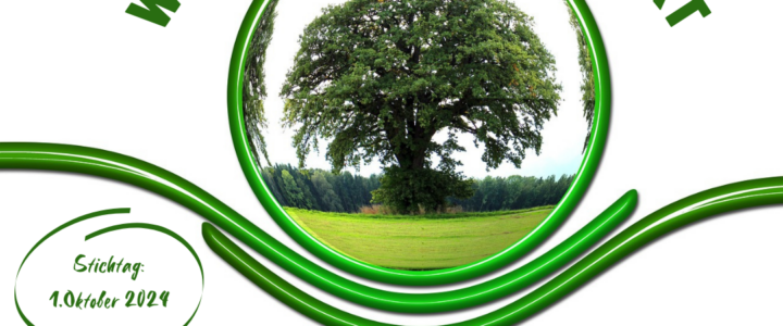 Projektwettbewerb 2024/02 gestartet