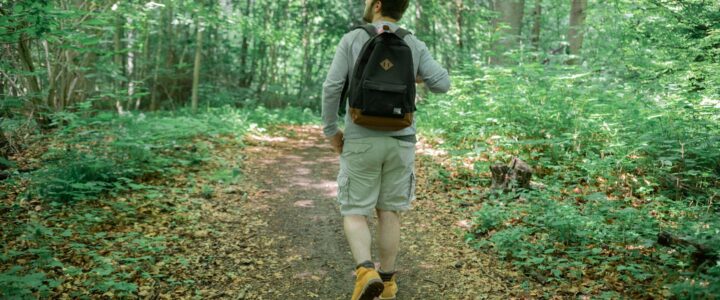 Ausbildung zum Geoguide und zertifizierten Natur- und Landschaftsführer