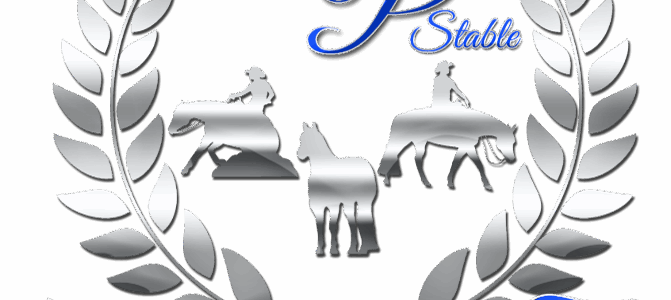 Umnutzung einer ehemaligen Hofanlage in eine Reittrainingsstätte