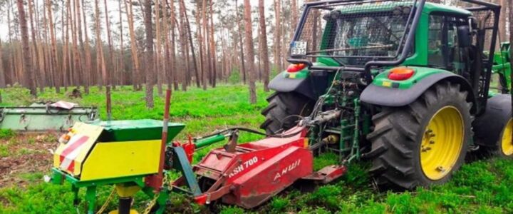 Modellhaftes Verfahren zur Entwicklung von stabilen, artenreichen und leistungsstarken Mischwäldern